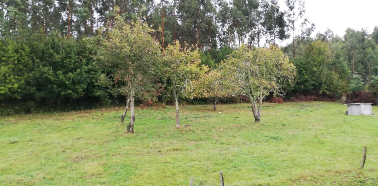 Casa Herbellas Cedeira Eksteriør billede