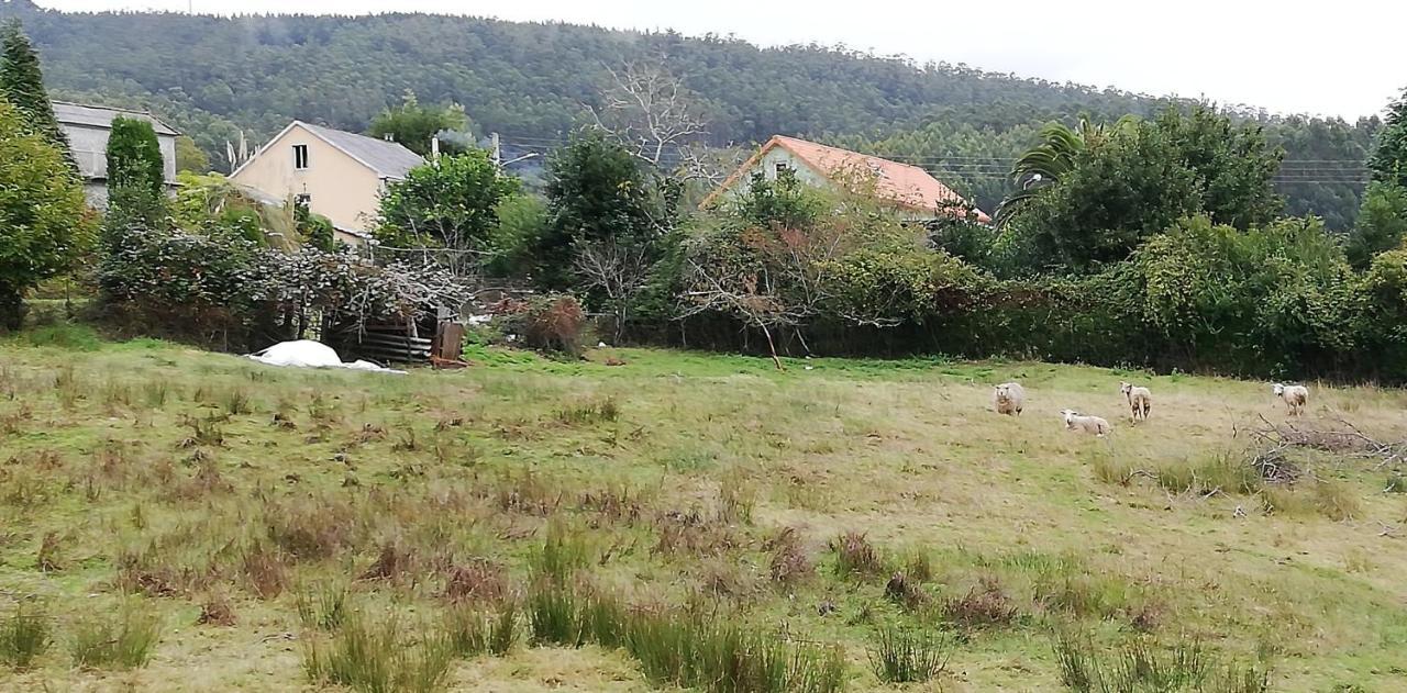 Casa Herbellas Cedeira Eksteriør billede